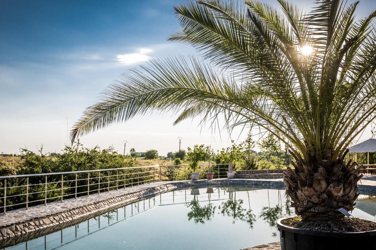 Country Spa Retreat سناجوف المظهر الخارجي الصورة The pool at the hotel