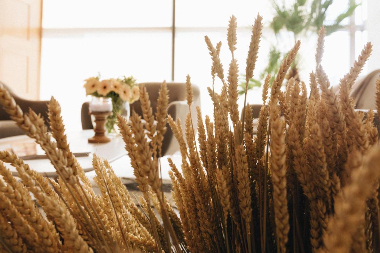 Country Spa Retreat سناجوف المظهر الخارجي الصورة Wheat